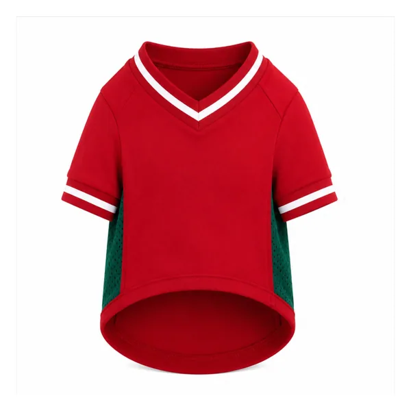 Dog’s football t-shirt